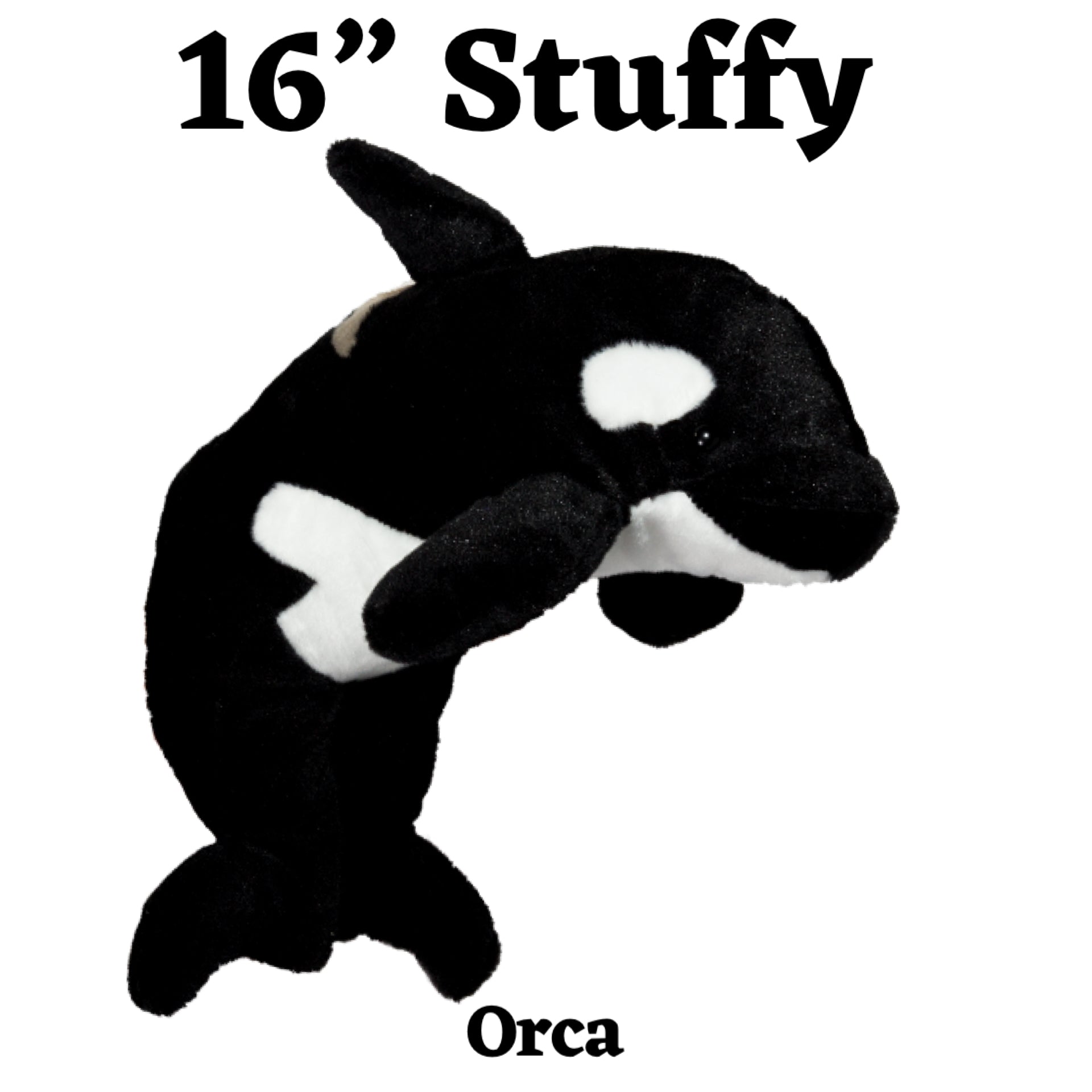 16’ Orca Whale